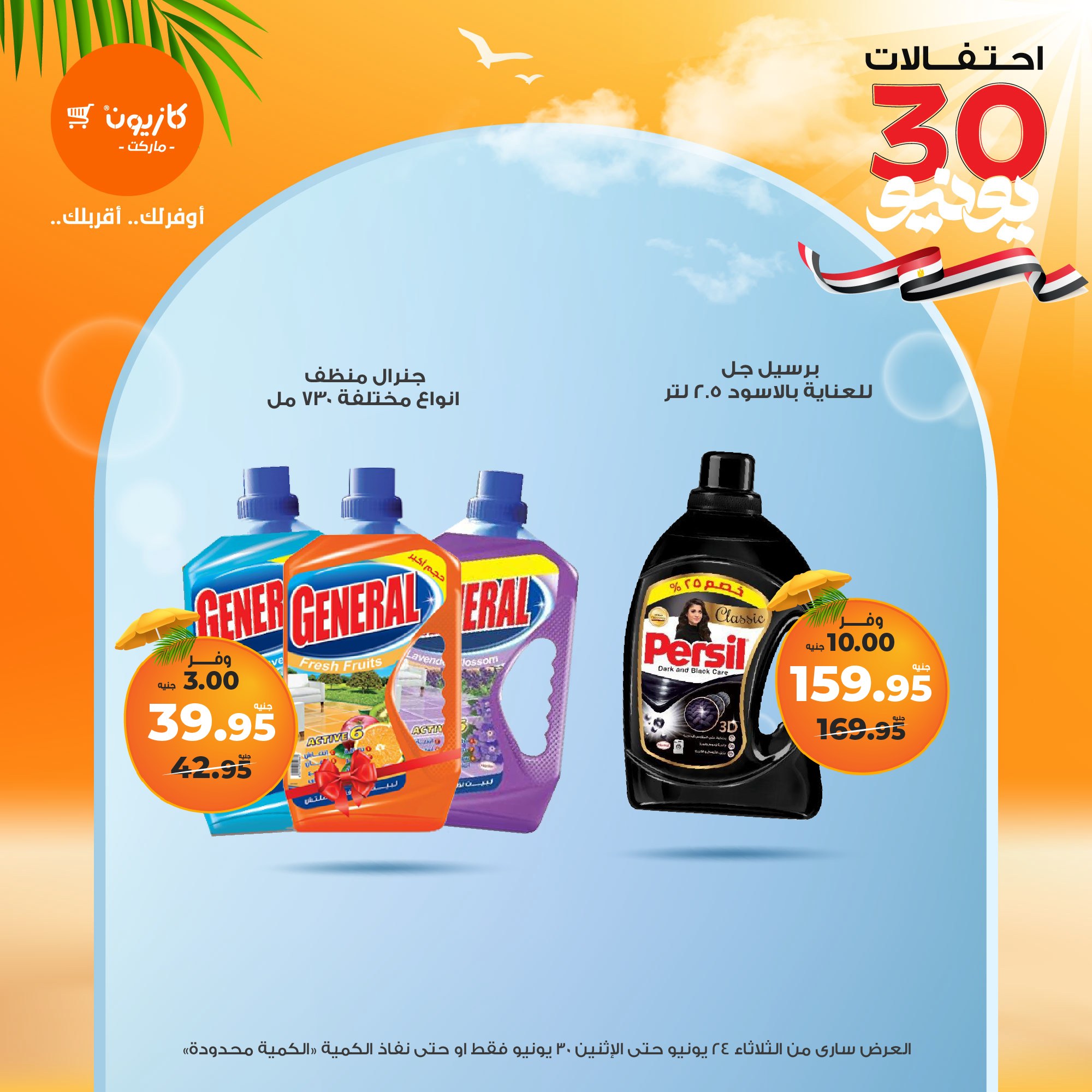 kazyon offers from 23jun to 2jun 2025 عروض كازيون من 23 يونيو حتى 2 يونيو 2025 صفحة رقم 41